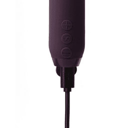 Je Joue Duet Bullet 震動器