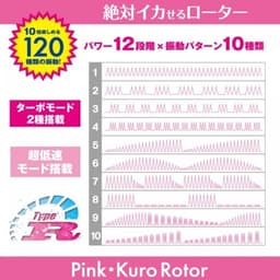 SSI Japan - Kuro Rotor Type-R 迷你有線震蛋 - 黑色