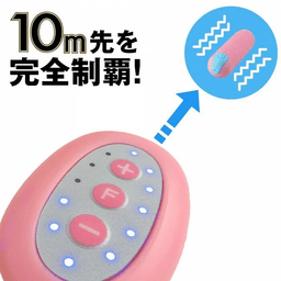 SSI Japan 無線遙控震蛋 Type-R 黑色