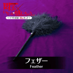 T-Best 我感覺我在痛苦中 BDSM 10件套裝
