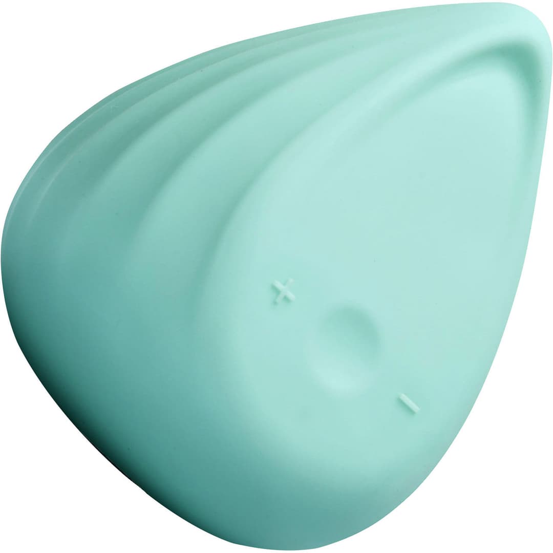 Biird Evii 雙摩打外部震動器 — Mint