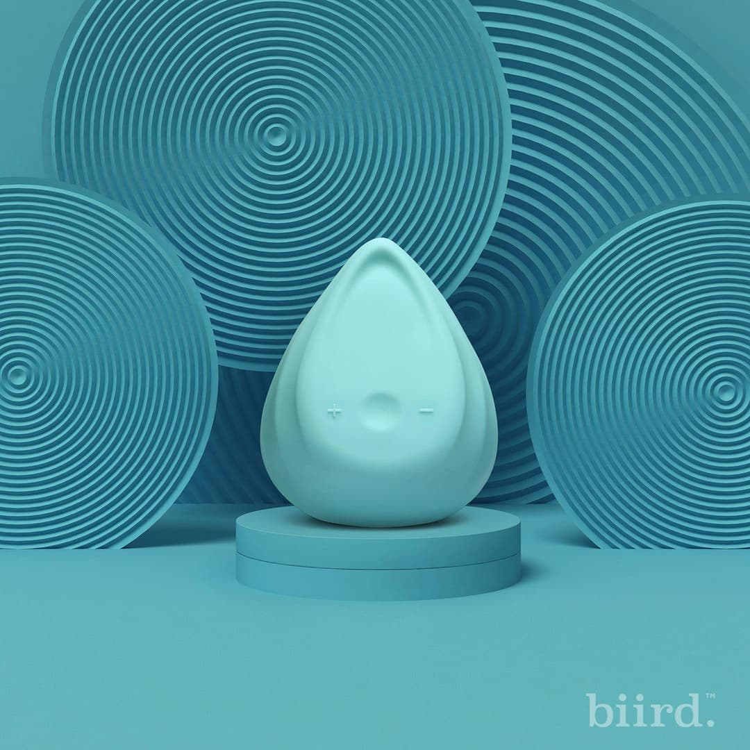 Biird Evii 雙摩打外部震動器 — Mint