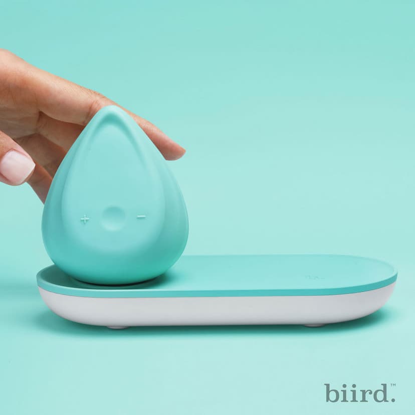 Biird Evii 雙摩打外部震動器 — Mint