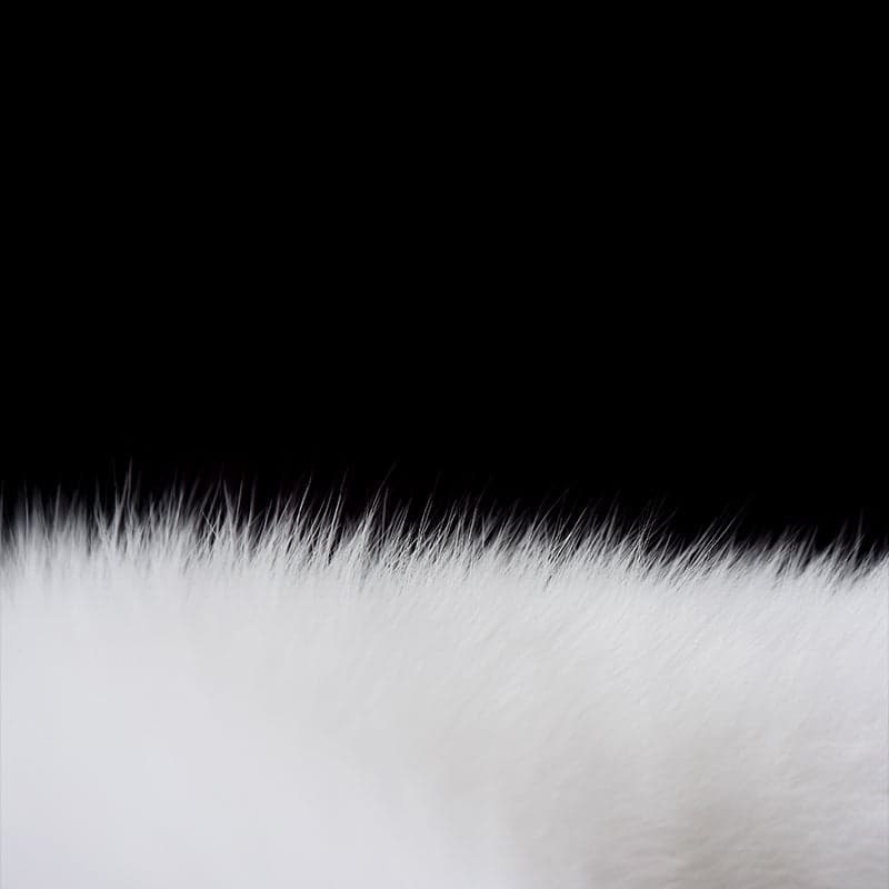 UPKO Fox Fur Tail Small Butt Plug(狐狸毛尾小號後庭塞)