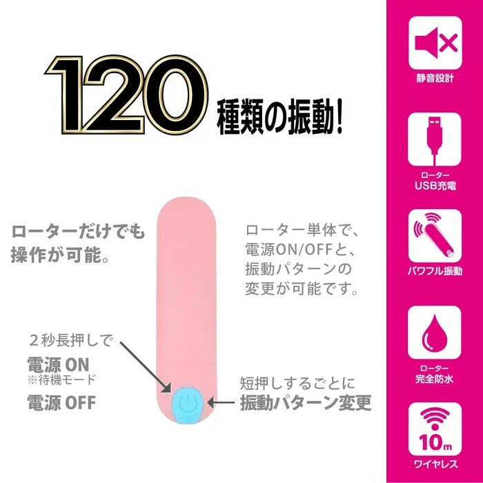 SSI Japan 無線遙控震蛋 Type-R 黑色